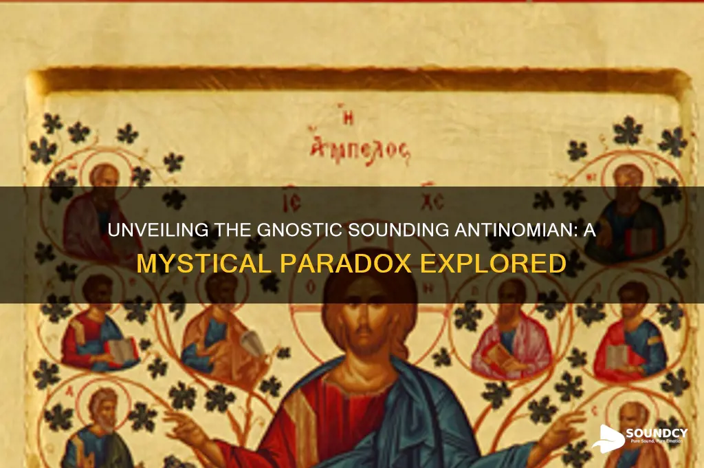 what is gnostic sounding antinpmian