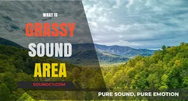 Exploring the Serene Beauty and Charm of Grassy Sound Area