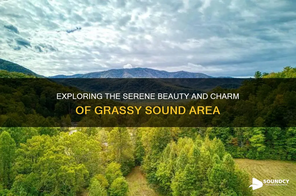 what is grassy sound area