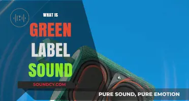 Understanding Green Label Sound: Eco-Friendly Audio Technology Explained