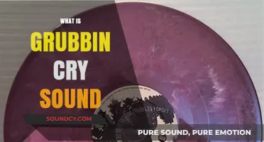 Understanding the Unique Grubbin Cry Sound in Pokémon: A Detailed Guide