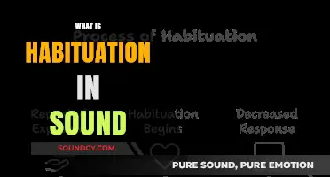 Understanding Habituation: How We Adapt to Persistent Sounds Over Time