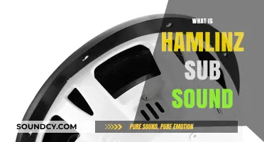 Understanding Hamlinkz's Unique Sub Sound: Origins, Impact, and Popularity