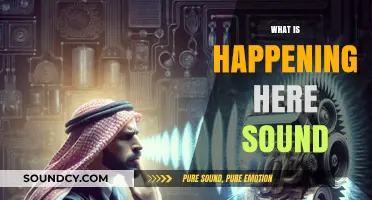 Decoding the Mystery: What's Happening Here with This Sound?