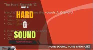 Understanding the Hard G Sound: Phonetics, Pronunciation, and Examples Explained