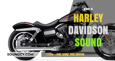 The Iconic Harley-Davidson Sound: A Symphony of Power and Freedom