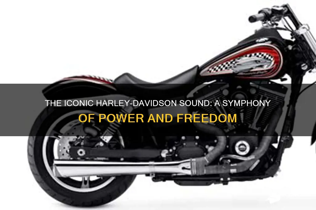 what is harley davidson sound