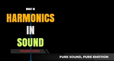 Understanding Harmonics: The Science Behind Rich and Complex Sounds