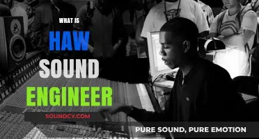 Understanding the Role of a Sound Engineer in Music Production