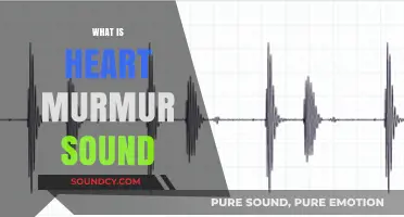 Understanding Heart Murmur Sounds: Causes, Symptoms, and Diagnosis Explained