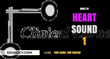 Understanding Heart Sound 1: Basics, Significance, and Clinical Importance