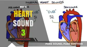 Understanding Heart Sound 3: Causes, Significance, and Clinical Implications
