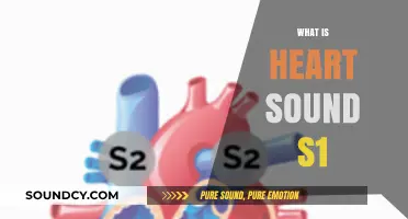 Understanding Heart Sound S1: Definition, Causes, and Clinical Significance