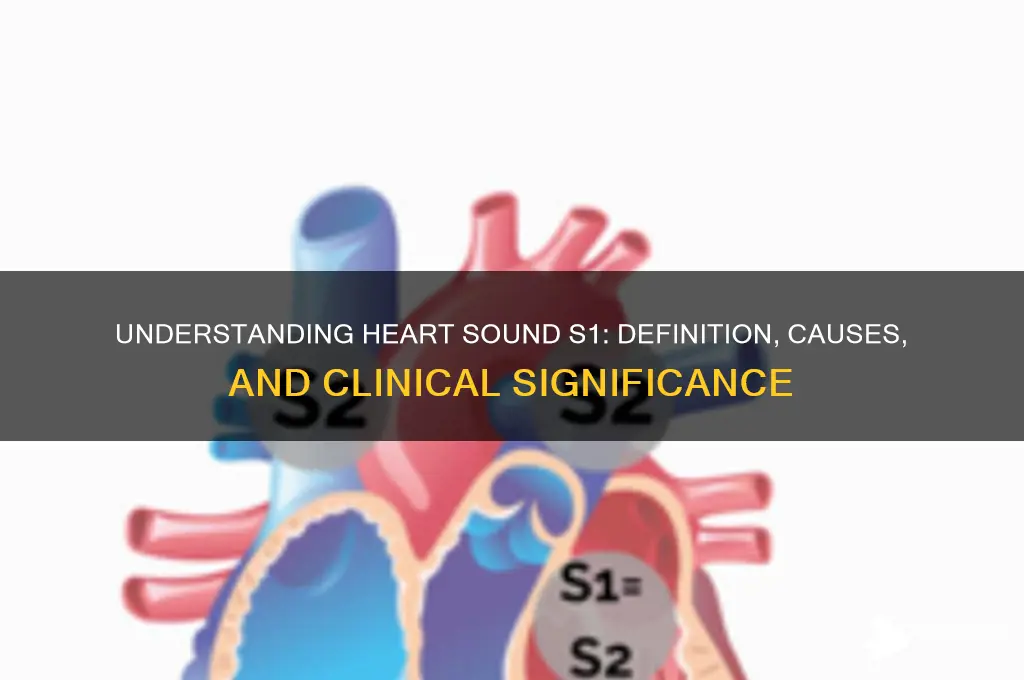 what is heart sound s1