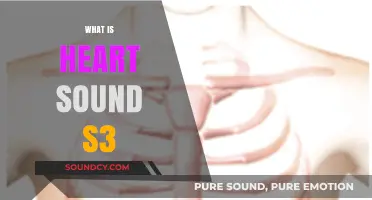 Understanding Heart Sound S3: Causes, Significance, and Clinical Implications