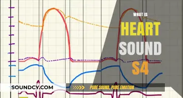 Understanding Heart Sound S4: Causes, Symptoms, and Clinical Significance