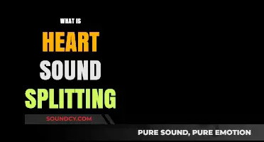 Understanding Heart Sound Splitting: Causes, Diagnosis, and Clinical Significance