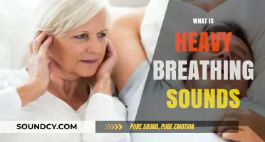 Understanding Heavy Breathing Sounds: Causes, Symptoms, and When to Worry