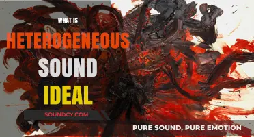 Understanding the Heterogeneous Sound Ideal: A Comprehensive Exploration