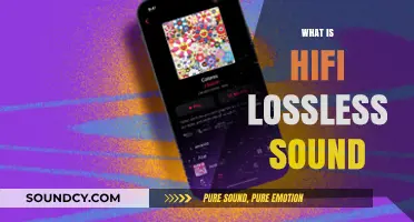Exploring HiFi Lossless Sound: Ultimate Audio Clarity and Quality Explained