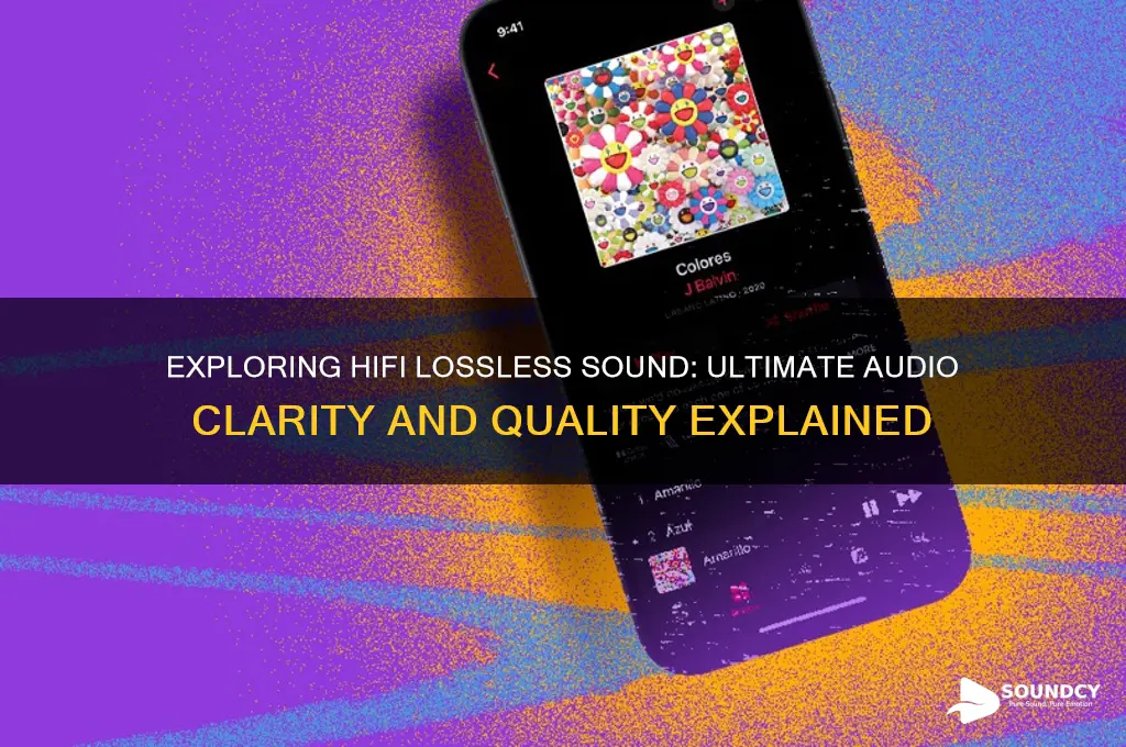 what is hifi lossless sound