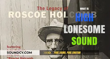 Exploring the Haunting High Lonesome Sound: A Musical Journey