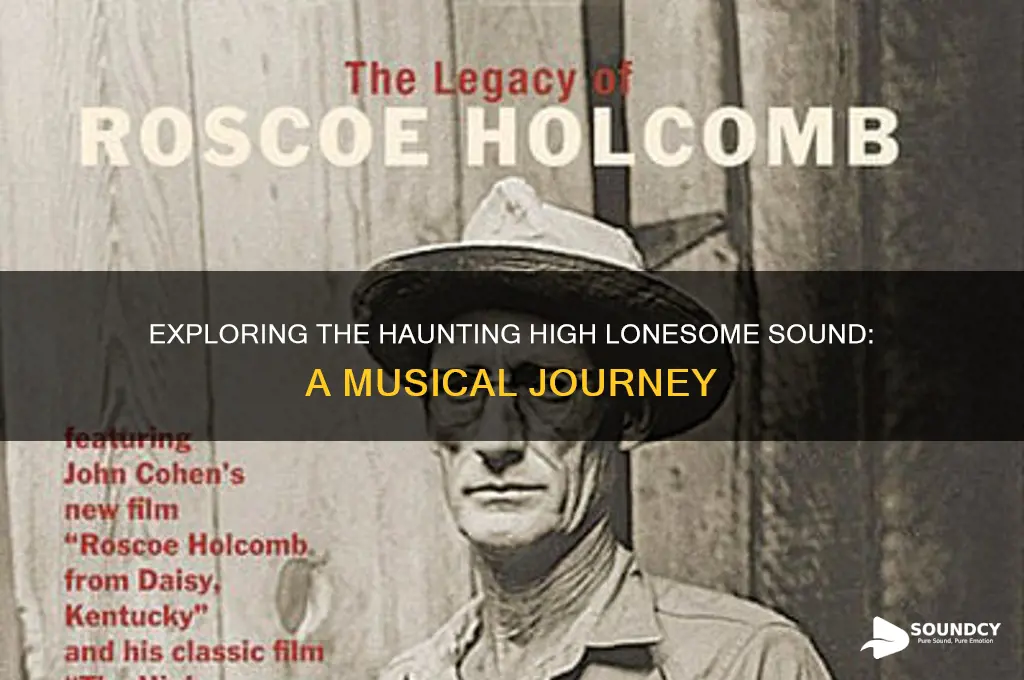 what is high lonesome sound