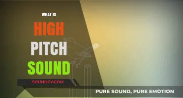 Understanding High-Pitch Sounds: Causes, Effects, and Everyday Examples