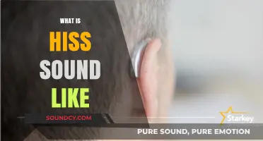 Unraveling the Mystery: What Does a Hiss Sound Like?