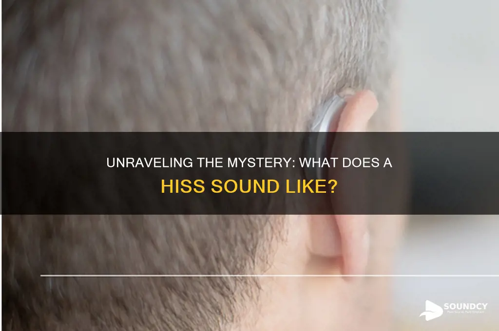 what is hiss sound like