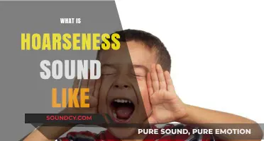 Understanding Hoarseness: What Does a Raspy Voice Sound Like?