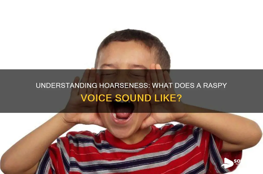 what is hoarseness sound like