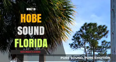Discovering Hobe Sound: Florida's Hidden Coastal Gem and Its Charm