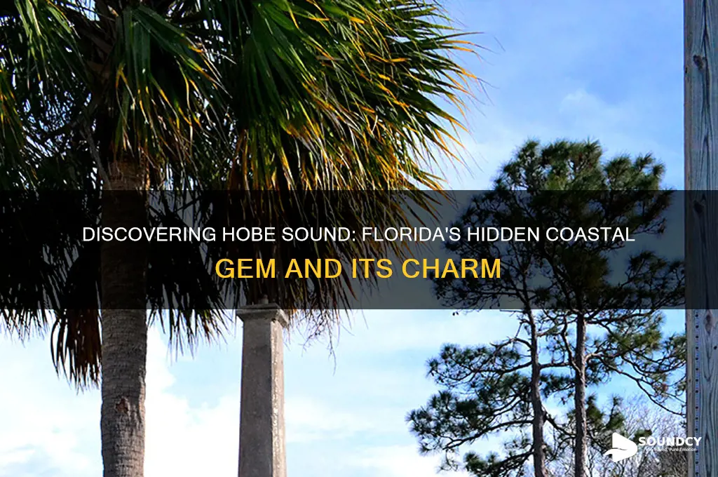 what is hobe sound florida