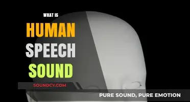Unraveling the Science and Art of Human Speech Sounds