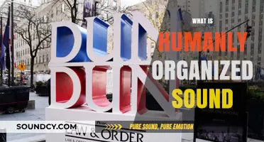 Exploring Humanly Organized Sound: Music, Language, and Beyond
