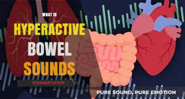 Understanding Hyperactive Bowel Sounds: Causes, Symptoms, and When to Seek Help