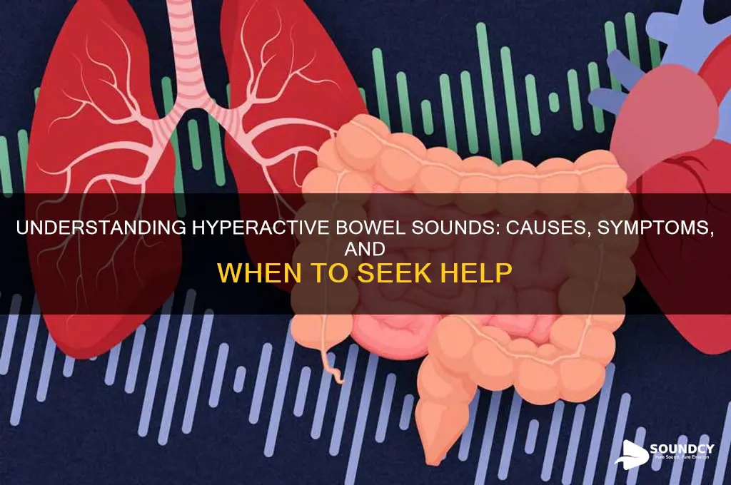 what is hyperactive bowel sounds