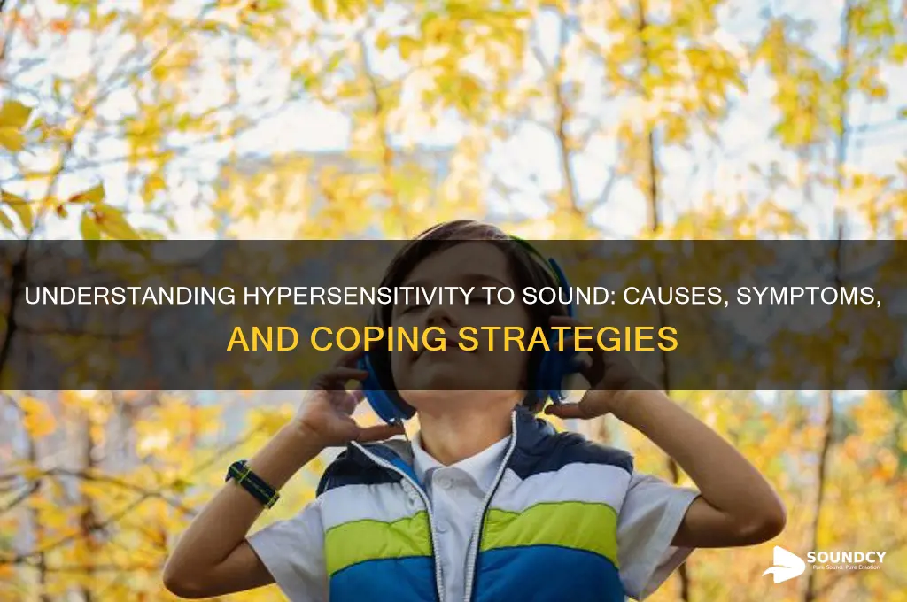 what is hypersensitivity to sound