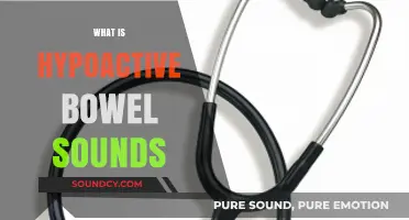 Understanding Hypoactive Bowel Sounds: Causes, Symptoms, and Diagnosis Explained