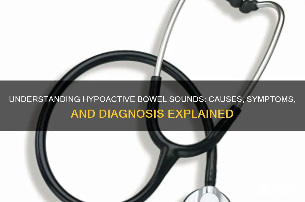 what is hypoactive bowel sounds