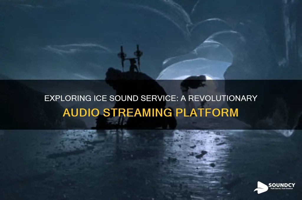 what is ice sound service