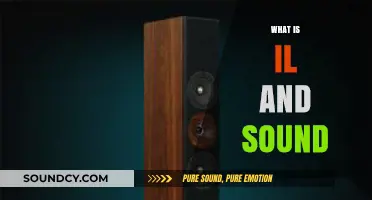 Understanding IL and Sound: A Comprehensive Guide to Their Basics