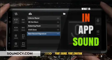 Understanding In-App Sound: Enhancing User Experience with Audio Features