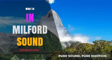 Exploring Milford Sound: Nature, Wildlife, and Majestic Fjord Wonders