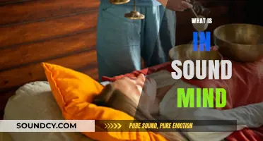 Understanding Sound Mind: Clarity, Focus, and Mental Well-Being Explained