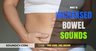 Understanding Increased Bowel Sounds: Causes, Symptoms, and When to Seek Help