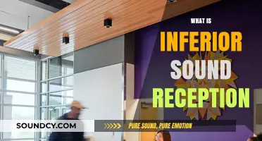 Understanding Inferior Sound Reception: Causes, Effects, and Solutions