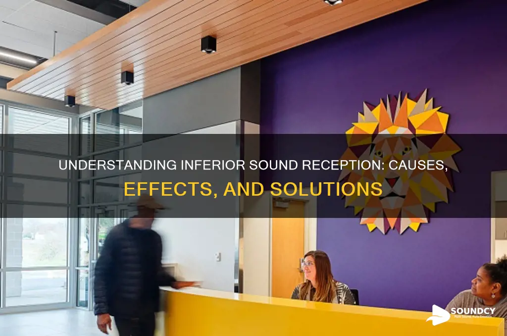 what is inferior sound reception