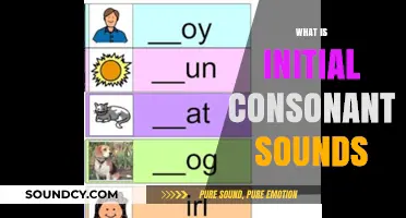 Understanding Initial Consonant Sounds: A Beginner's Guide to Phonics Basics
